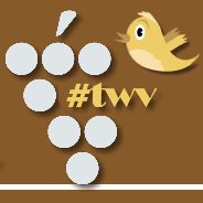 twv_Logo.jpg